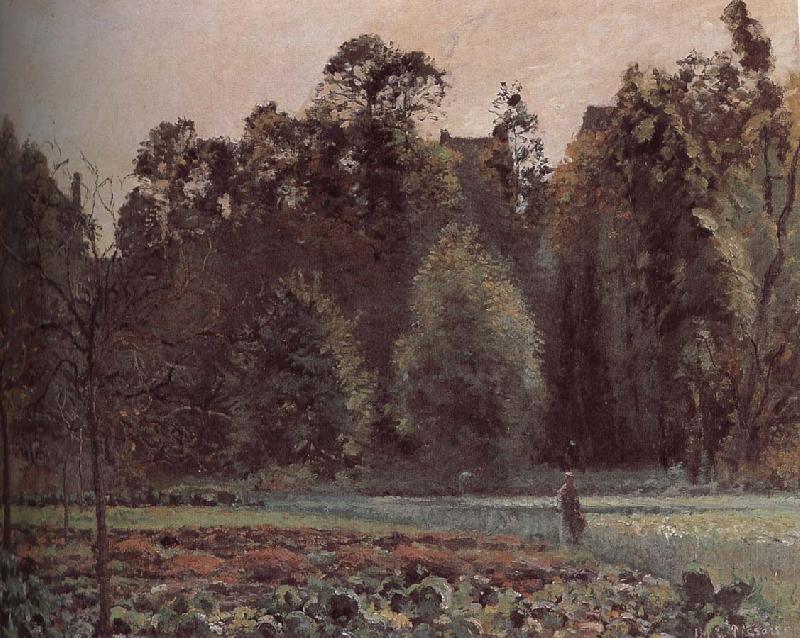 Schwarz Metaponto to the cabbage, Camille Pissarro